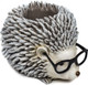 Animal with Glasses Planter Animal with Glasses Planter